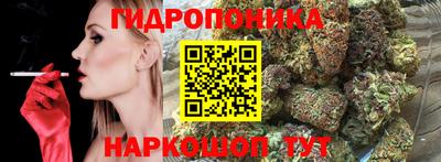 твердый Заводоуковск