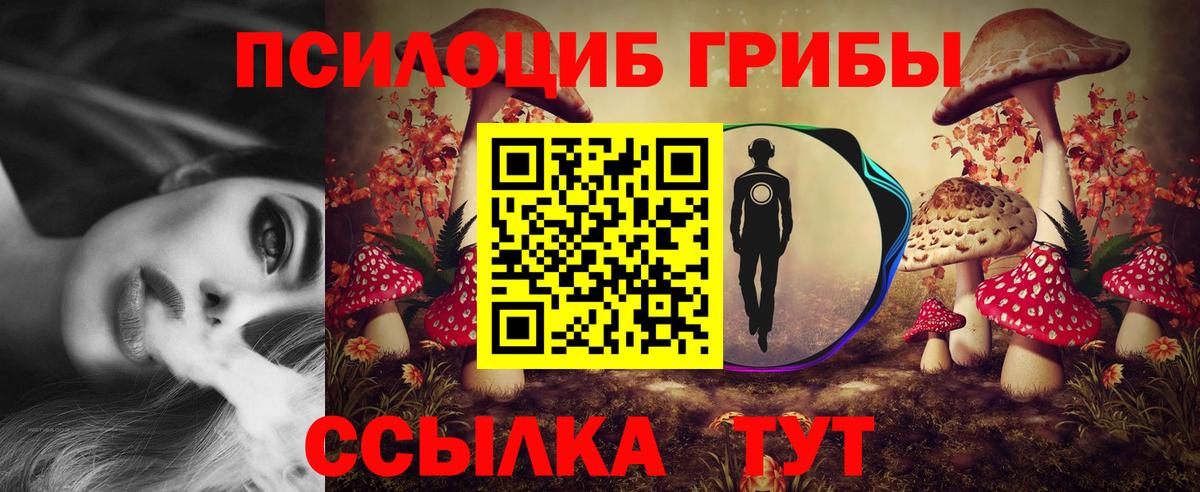 Галлюциногенные грибы Magic Shrooms Лысьва